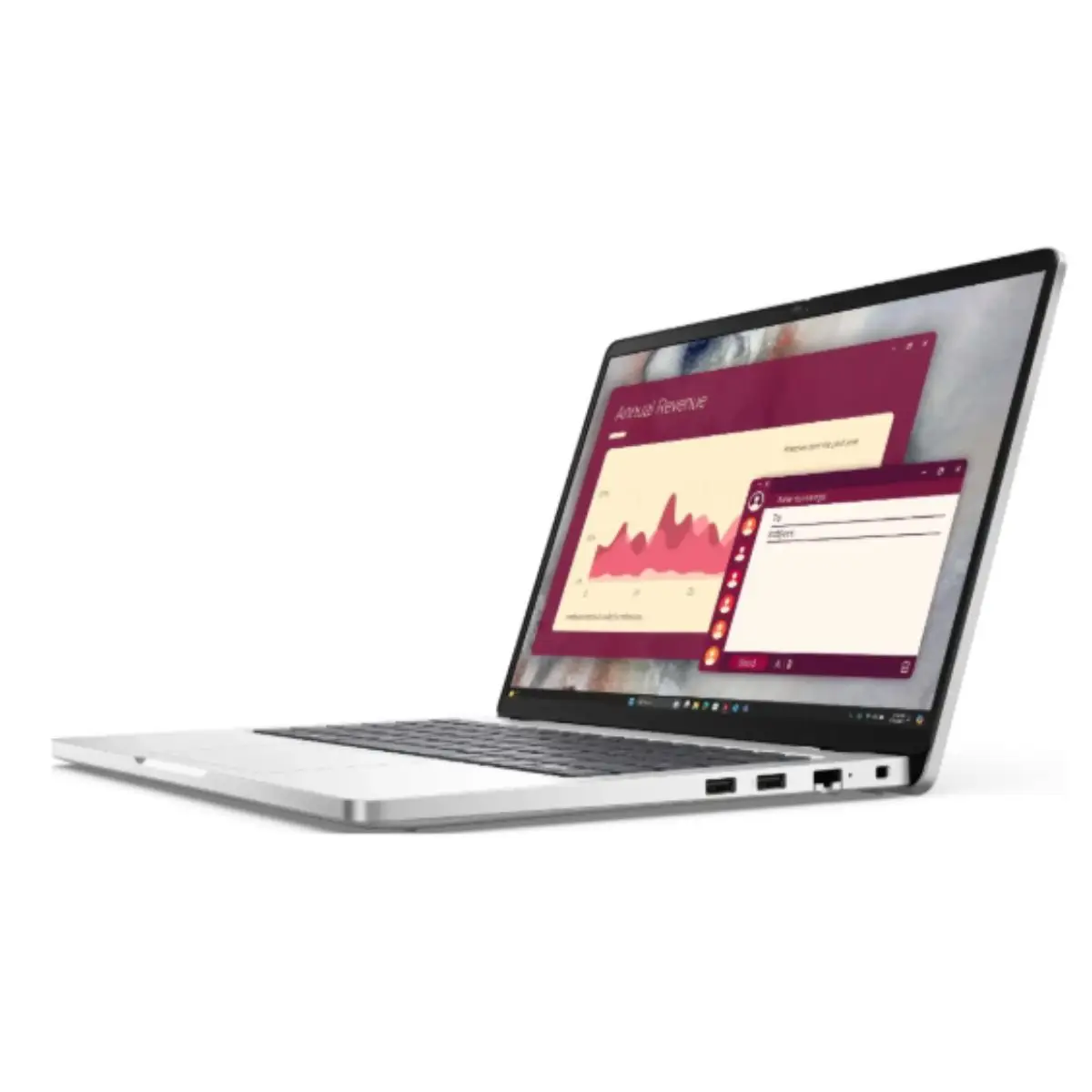 Dell 24" IPS Monitor