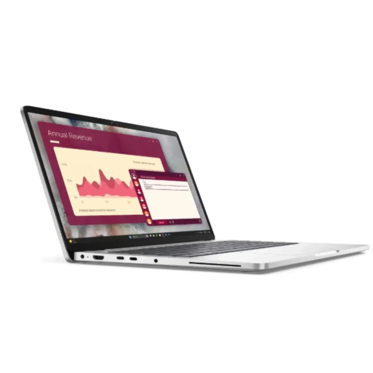 Dell 24" IPS Monitor